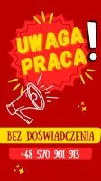 Elektryk- Belgia - od zaraz