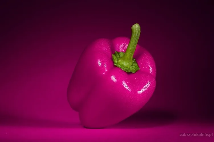 Praca w szklarni z papryką - Holandia!