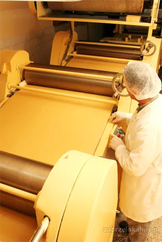 Praca w Holandii -  Proste prace produkcyjne