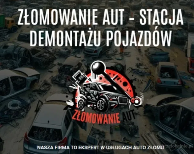 Złomowanie aut z dojazdem Zabrze gotówka od ręki, stacja demontażu