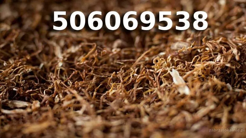 Bardzo Dobrej Jakości tani TYTOŃ na wagę 85 PLN/1KG