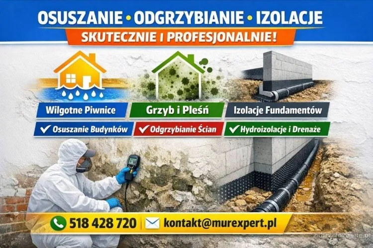 Skuteczne osuszanie budynków i odgrzybianie ścian. Pozbądź się wilgoci