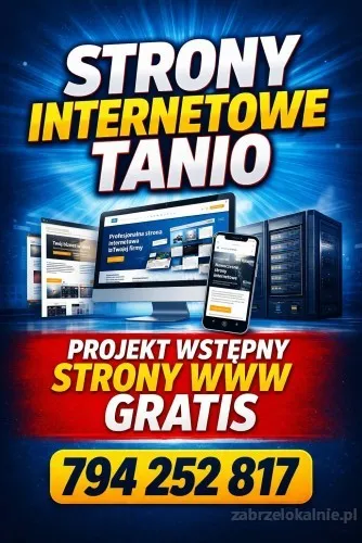 Strony WWW TANIO + projekt wstępny za darmo + BONUS